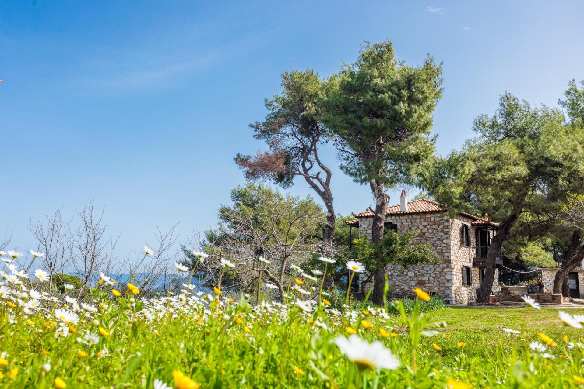 Elli Cottage Skopelos Exterior foto